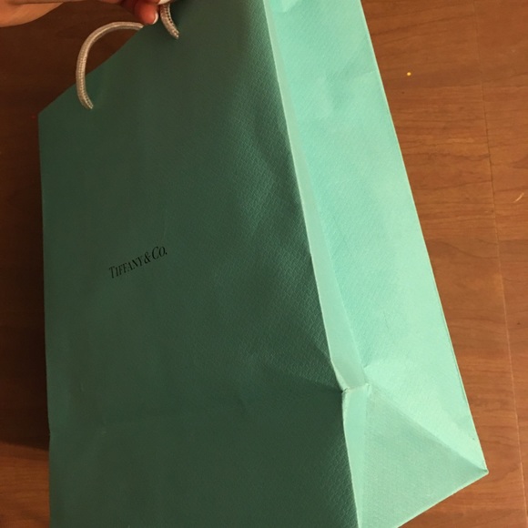 Tiffany & Co. Authentic Medium Paper Shopping Bag - Picture 4 of 7